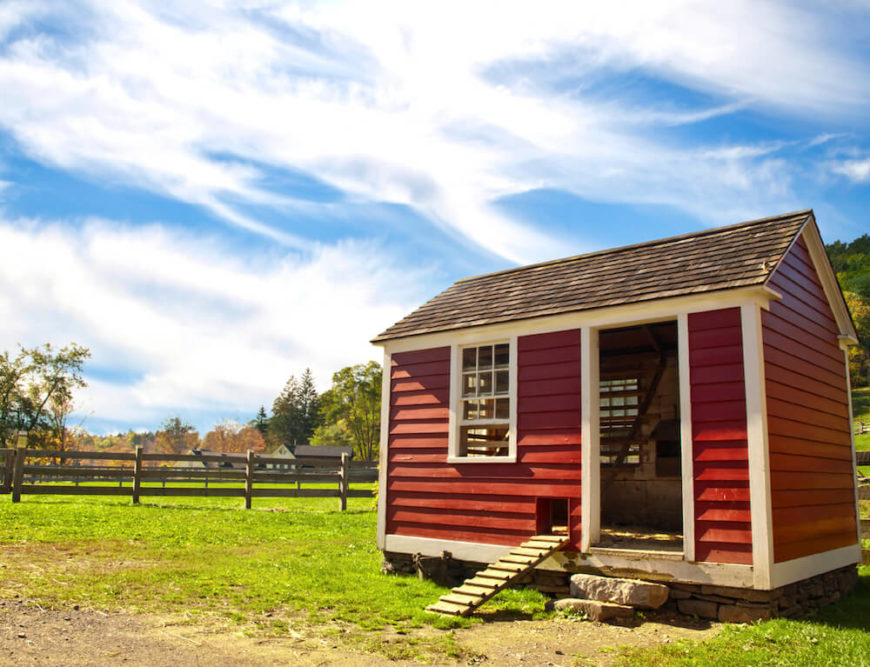 However, if you have a larger flock, you might need a large hen house, much like this barn-red one. The hens are free-range here, with no enclosure. However, if you have a larger flock, you might need a large hen house, much like this barn-red one. The hens are free-range here, with no enclosure.