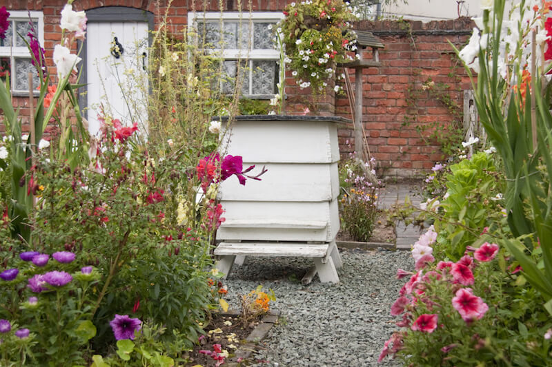 A simple white bee hive in the center of a gravel patio in the middle of a lush, colorful flower garden. A simple white bee hive in the center of a gravel patio in the middle of a lush, colorful flower garden.