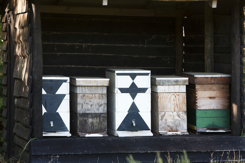 Another option is to have several bee boxes stored in an open shed, like this one. Decorate them as you please to suit your style and decor. Another option is to have several bee boxes stored in an open shed, like this one. Decorate them as you please to suit your style and decor.