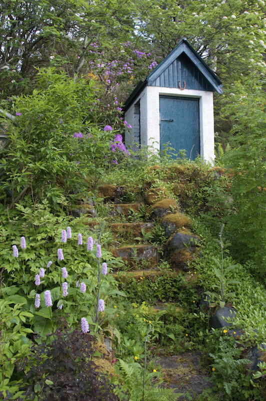 These moss-covered overgrown steps lead up to a garden shed at the top of the hill. These moss-covered overgrown steps lead up to a garden shed at the top of the hill.