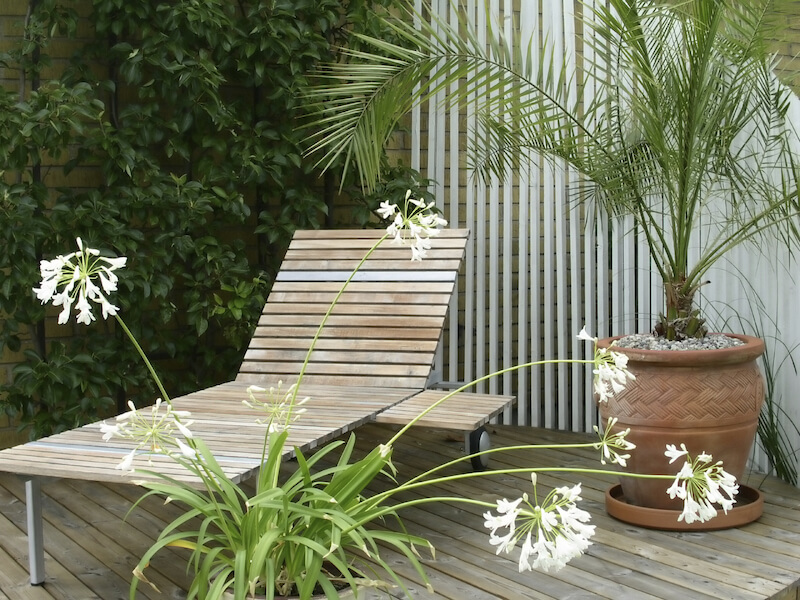 Even a much smaller potted palm can really help set the mood. It gives this simple wooden lounge chair the air of a tropical resort. Even a much smaller potted palm can really help set the mood. It gives this simple wooden lounge chair the air of a tropical resort.