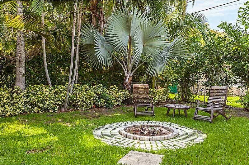 There are many varieties of palms, with some, like this one, with enormous fan-like leaves. There are many varieties of palms, with some, like this one, with enormous fan-like leaves.
