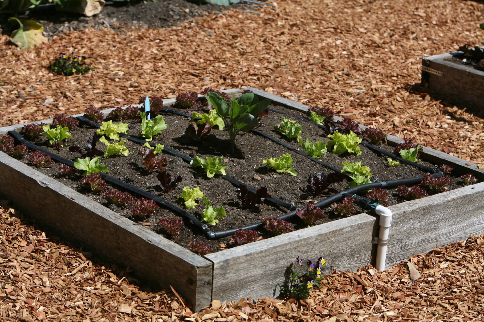 24 Fantastic Backyard Vegetable Garden Ideas
