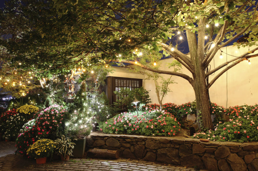 If you have a tree or two in your garden, you can hang strings of lights from the trees to create a magical firefly-like glow. Brighter bulbs can illuminate your flowers even more.