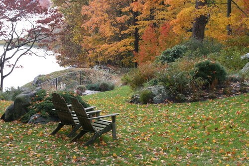 Nature can be the greatest show on earth. Sit back in a couple of amazing Adirondack chairs and watch as nature unfolds. If you have a wooded area near you, it can make the perfect focus for your chairs. Nature can be the greatest show on earth. Sit back in a couple of amazing Adirondack chairs and watch as nature unfolds. If you have a wooded area near you, it can make the perfect focus for your chairs.