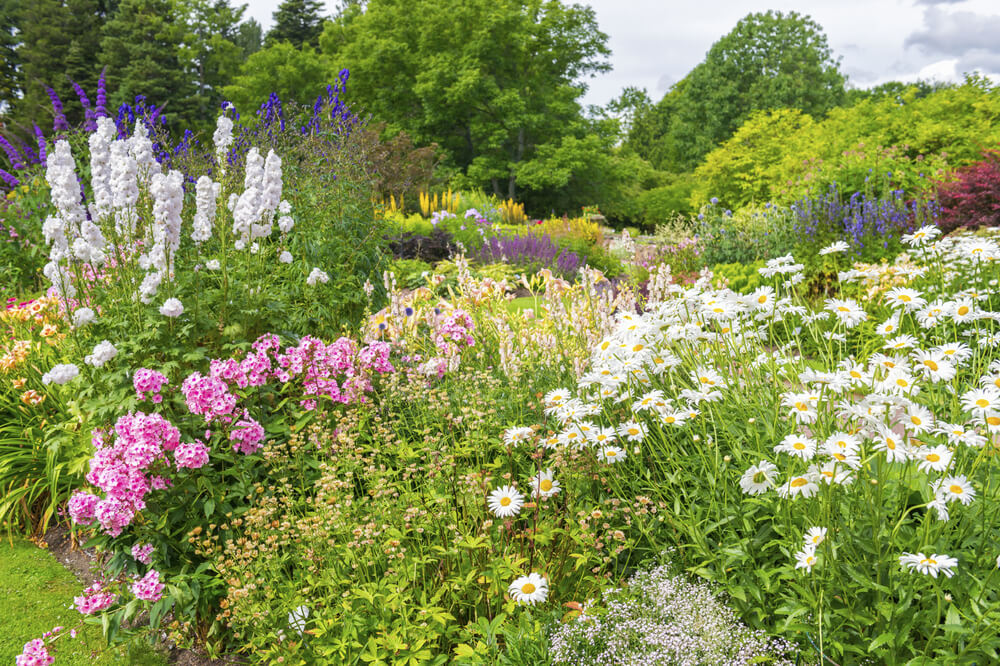 47 Gorgeous Perennial Garden Ideas Home Stratosphere