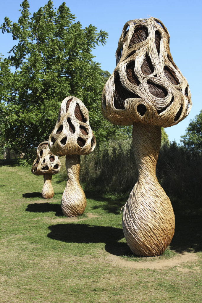 Perhaps you would like your yard to look exotic or like a fantastic mythical land. There are sculpture options that can make your yard appear as if you are growing mystic plants from another plane of existence. Perhaps you would like your yard to look exotic or like a fantastic mythical land. There are sculpture options that can make your yard appear as if you are growing mystic plants from another plane of existence.