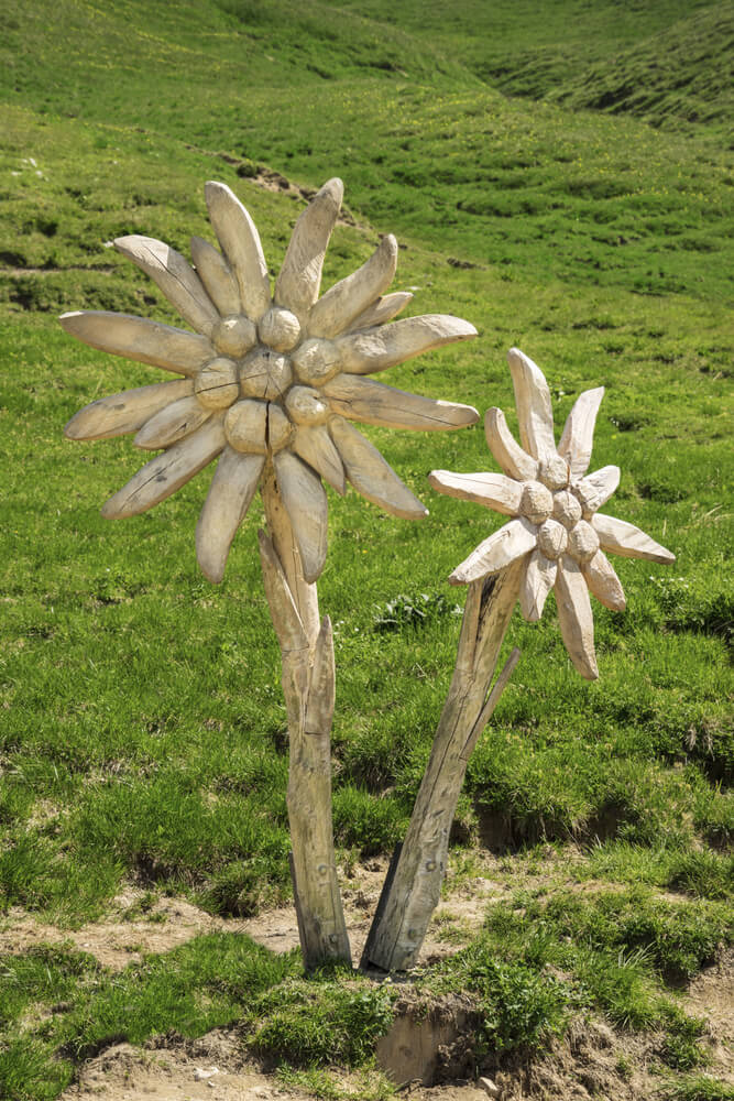 These sculptures are two large flowers carved from wood. This takes two things typically found in a yard and combines them for an interesting piece that draws the eye and adds some character to the space. These sculptures are two large flowers carved from wood. This takes two things typically found in a yard and combines them for an interesting piece that draws the eye and adds some character to the space.