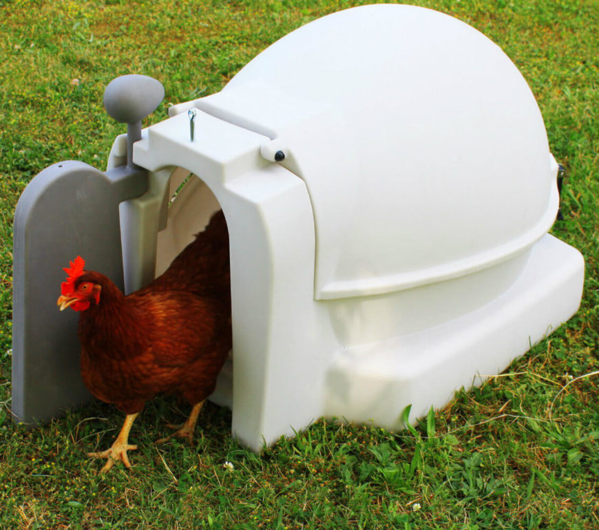 Not everyone has the space or desire to raise multiple chickens, which is why we love this ready-made coop for one or two birds. It's compact, portable, and perfectly shaped to house your bird! Not everyone has the space or desire to raise multiple chickens, which is why we love this ready-made coop for one or two birds. It's compact, portable, and perfectly shaped to house your bird!
