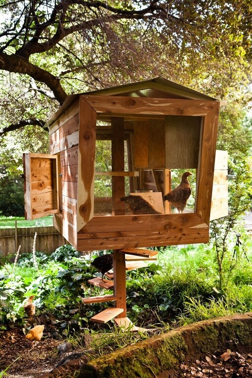One of the most innovative chicken coop designs we've seen, this elevated unit features a spiral staircase for entry and plenty of large openings for the birds to enter and exit. One of the most innovative chicken coop designs we've seen, this elevated unit features a spiral staircase for entry and plenty of large openings for the birds to enter and exit.