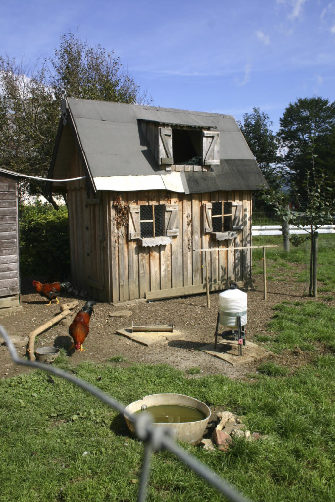 This large chicken coop design is full of whimsy and rustic charm in equal measure. It's got a high roof with secondary opening up top, as well as easy full size access for humans when it comes to feeding time. This large chicken coop design is full of whimsy and rustic charm in equal measure. It's got a high roof with secondary opening up top, as well as easy full size access for humans when it comes to feeding time.