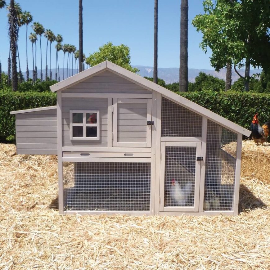 The angular profile of this handsome coop resembles a modern full-size home design, so much that it's one of our favorite structures. The ample mesh covering and secluded roosting compartments make it a very useful coop as well. The angular profile of this handsome coop resembles a modern full-size home design, so much that it's one of our favorite structures. The ample mesh covering and secluded roosting compartments make it a very useful coop as well.