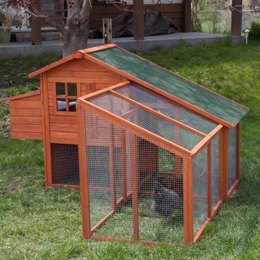 Here's another sharply angled, crisply constructed chicken coop. This ready-made model features a large wire mesh outdoor area for grazing, as well as an elevated roosting space. Here's another sharply angled, crisply constructed chicken coop. This ready-made model features a large wire mesh outdoor area for grazing, as well as an elevated roosting space.