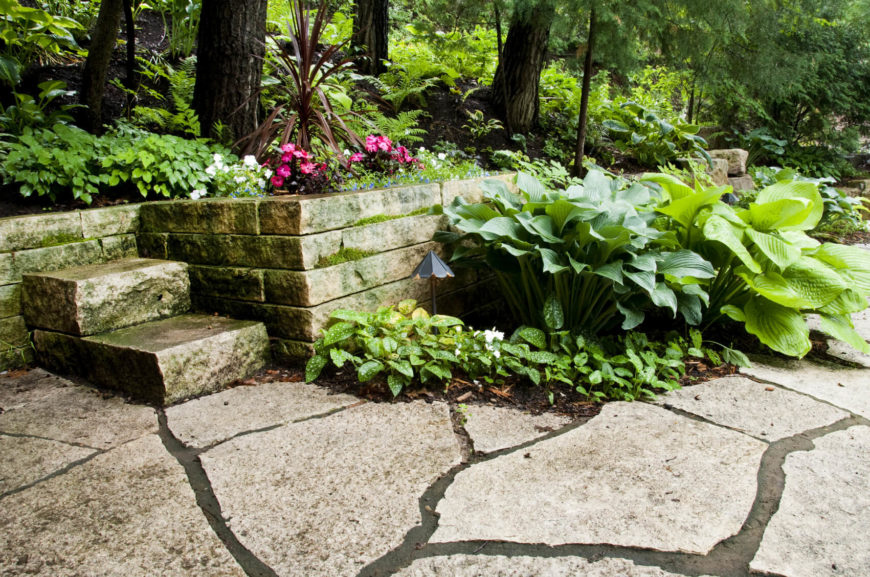 You can build layers into your plant gardens. By placing smaller plants under larger plants you can create a full and lush garden. Your garden will never feel empty when you have filler plants like this. You can build layers into your plant gardens. By placing smaller plants under larger plants you can create a full and lush garden. Your garden will never feel empty when you have filler plants like this.