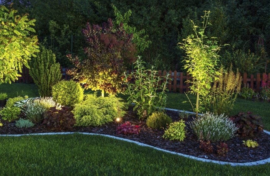 If you want your garden to be well lit at night you can install well lighting into your garden. Well lighting highlights your plants from underneath, giving your garden a nice glowing quality. If you want your garden to be well lit at night you can install well lighting into your garden. Well lighting highlights your plants from underneath, giving your garden a nice glowing quality.