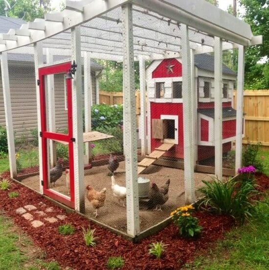 Sometimes what you really need is a larger area for the chickens to run in an enclosed, protected space, while the actual coop remains relatively compact. This brightly colored set is perfect in such a case. Sometimes what you really need is a larger area for the chickens to run in an enclosed, protected space, while the actual coop remains relatively compact. This brightly colored set is perfect in such a case.