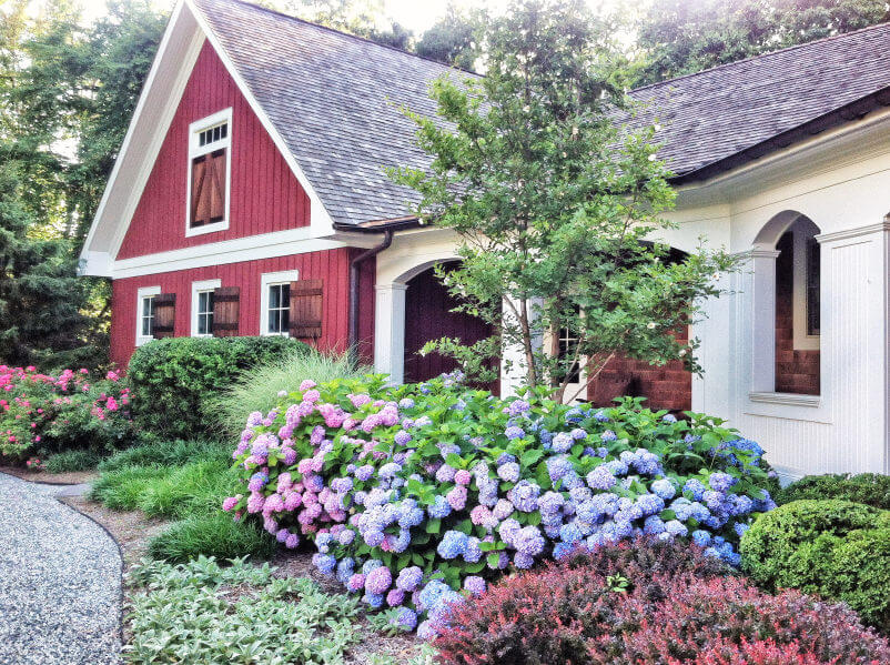 35 Hydrangea Garden Ideas Pictures Home Stratosphere
