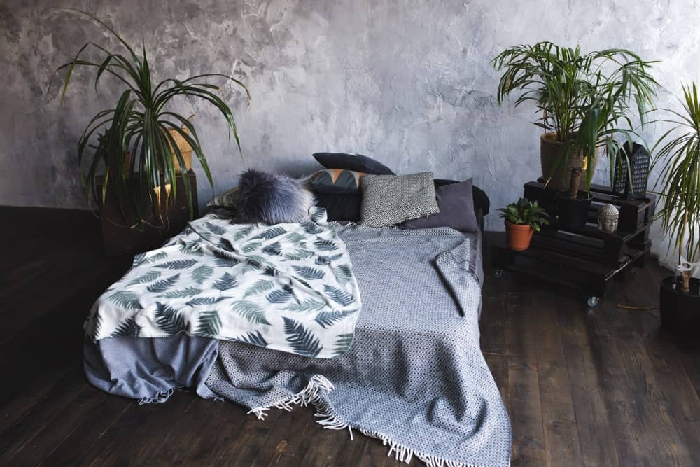 The dark hardwood flooring has a burnt quality to it that complements the bed cushion that has gray sheets and pillows. This bed is flanked by potted plants that contrast the light gray concrete wall at the head of the bed.